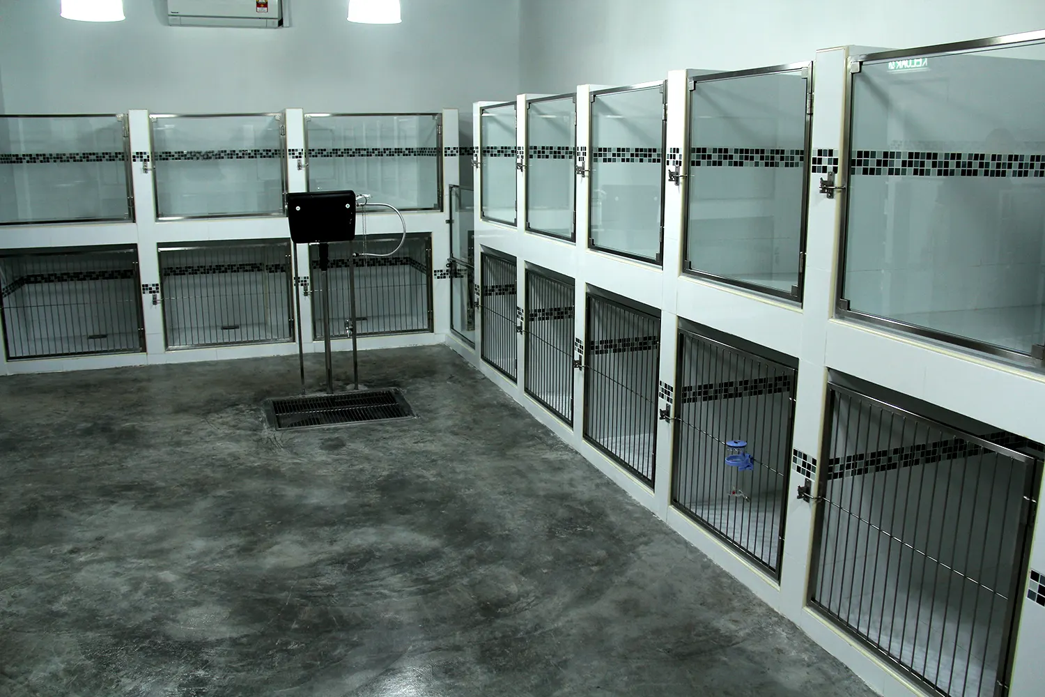 Rooms at the PGH pet hotel