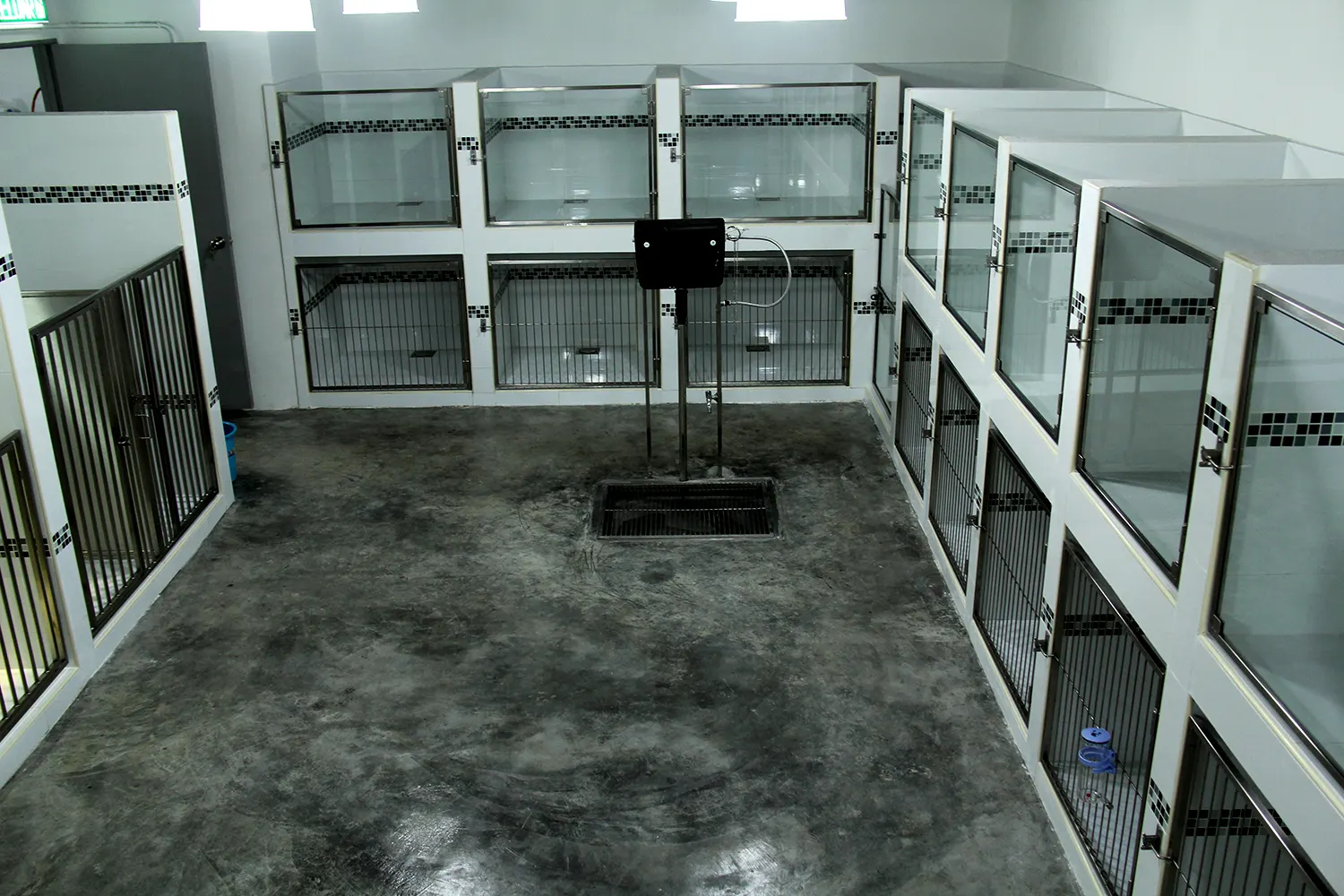 Row of private glass-fronted rooms at the PGH pet hotel, Subang Jaya