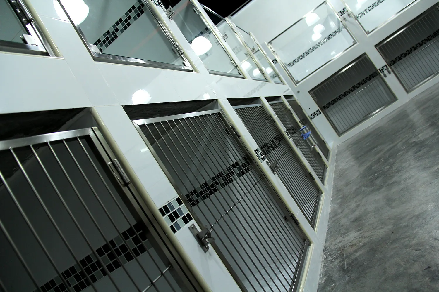 Row of rooms at the PGH pet hotel