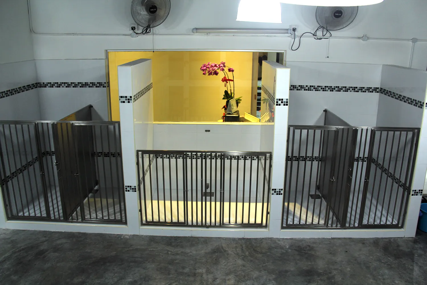 Presidential room at the PGH pet hotel
