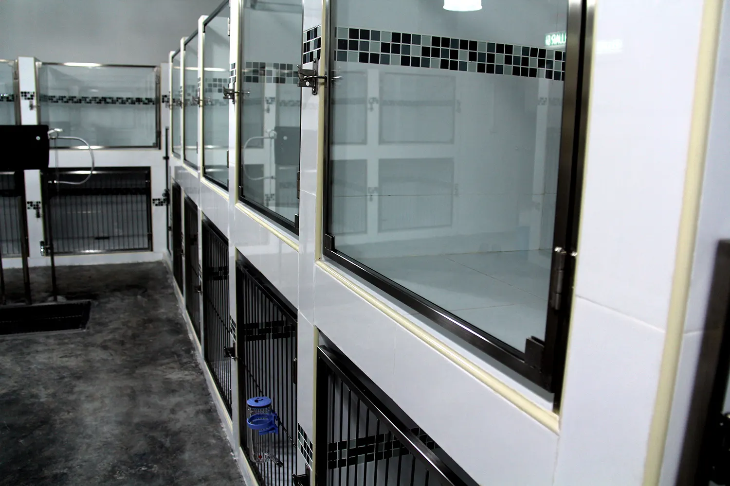Presidential room at the PGH pet hotel