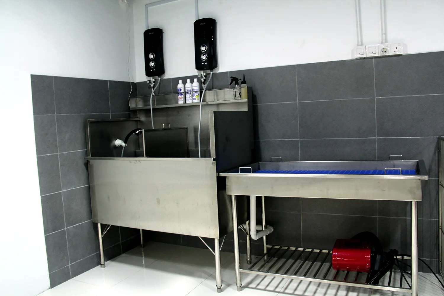 Stainless steel grooming tubs at PGH