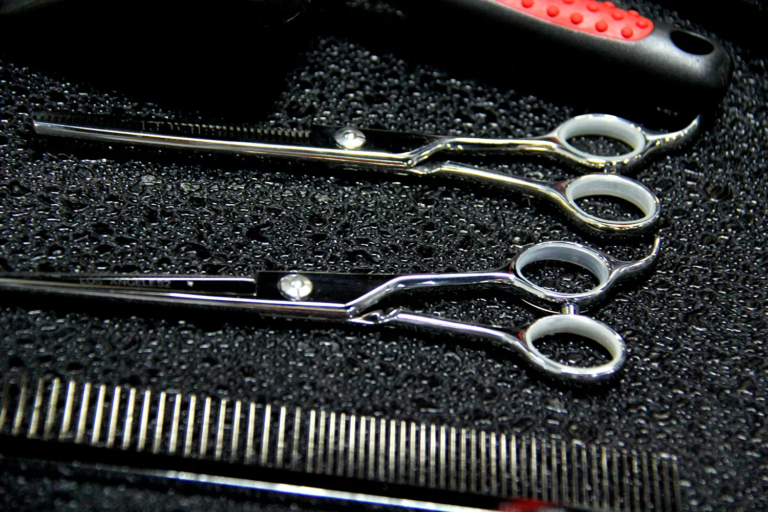 Professional grooming scissors and combs laid out at PGH